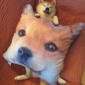 Meet your Posher, Naomi